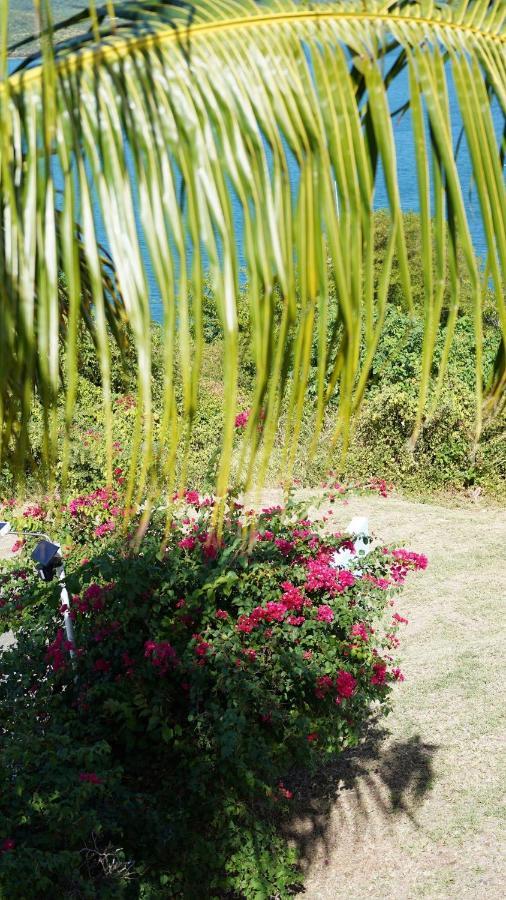 Coqui Beach Home, Culebra Isla Culebra Exterior foto